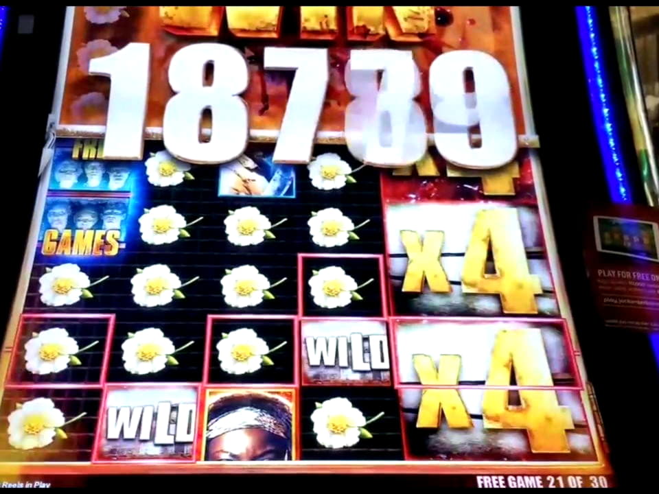 280 free casino spins at Oshi Casino