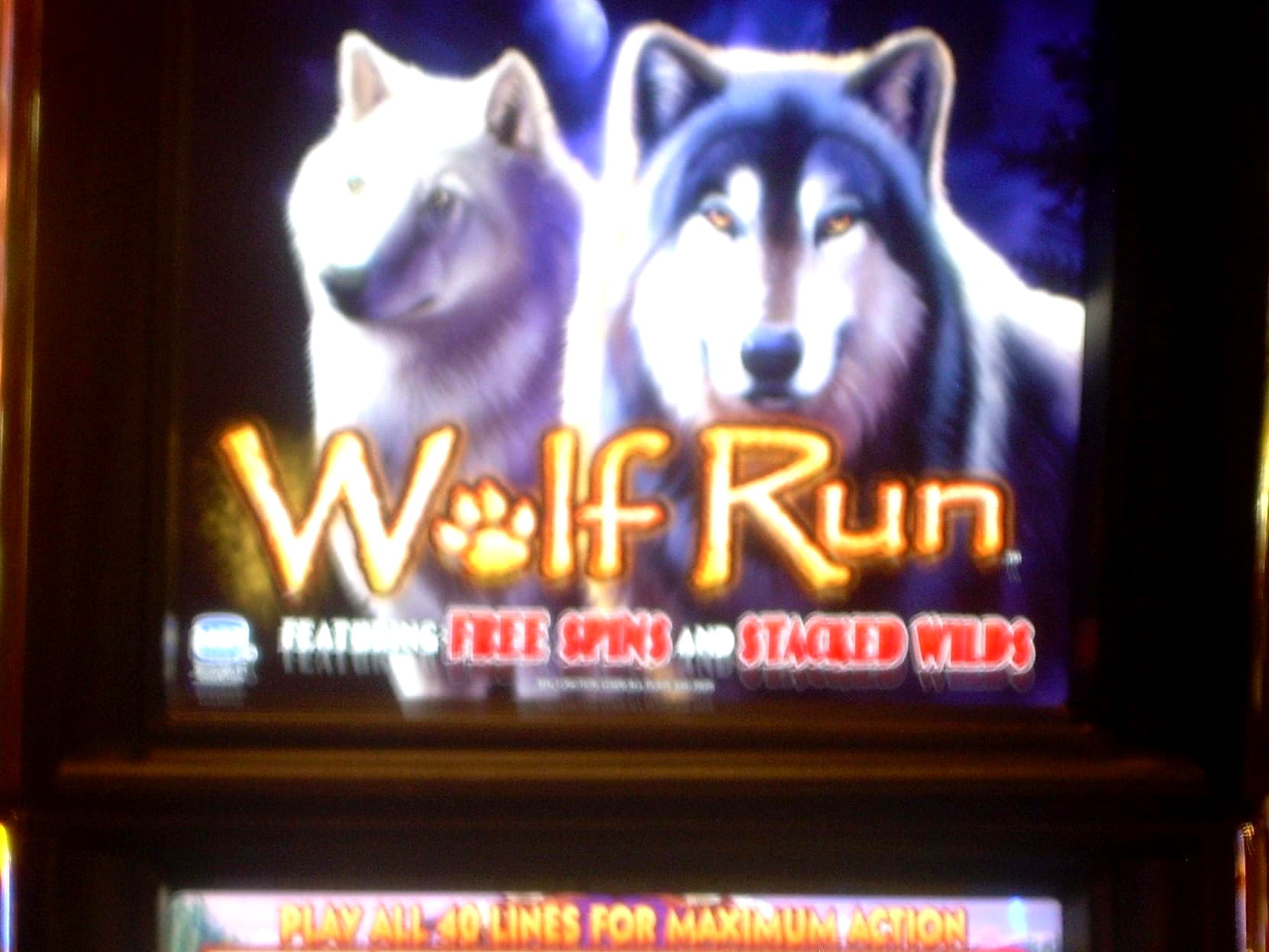 330% Casino match bonus at Omni Slots Casino