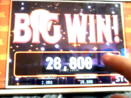 350% Signup casino bonus at Rizk Casino