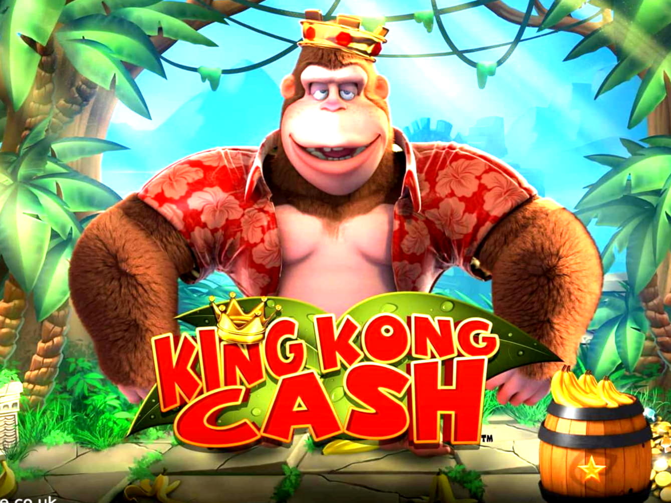 295 Loyalty Free Spins! at Dunder Casino