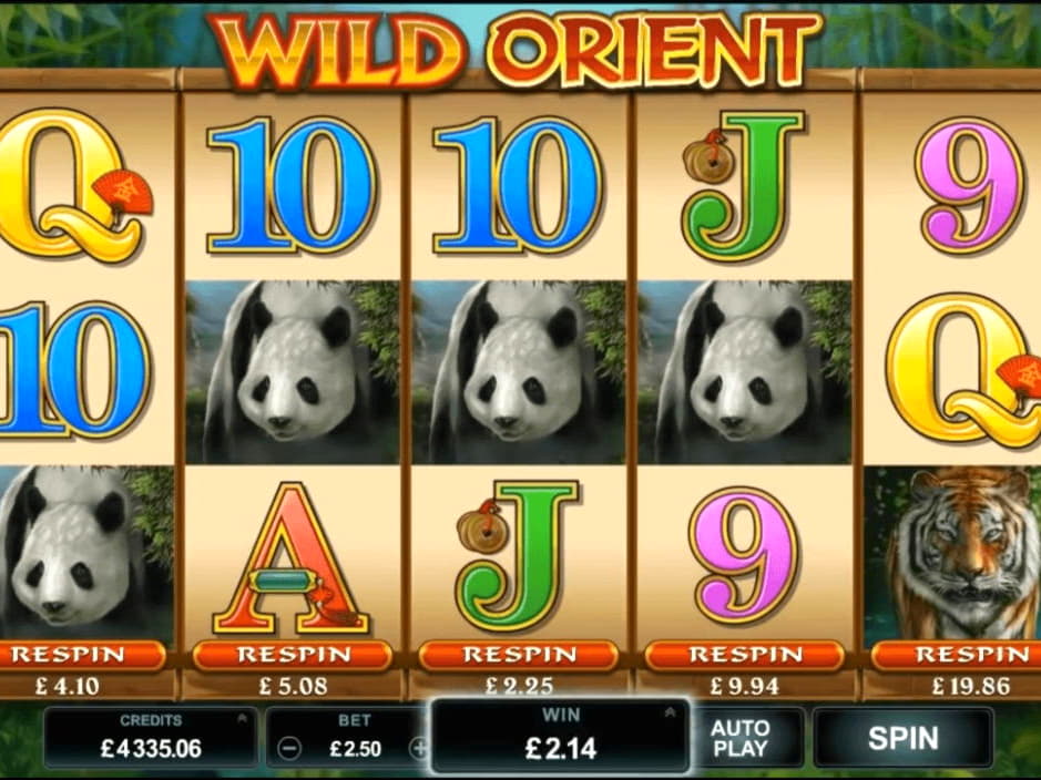 £4835 No deposit bonus code at Dunder Casino