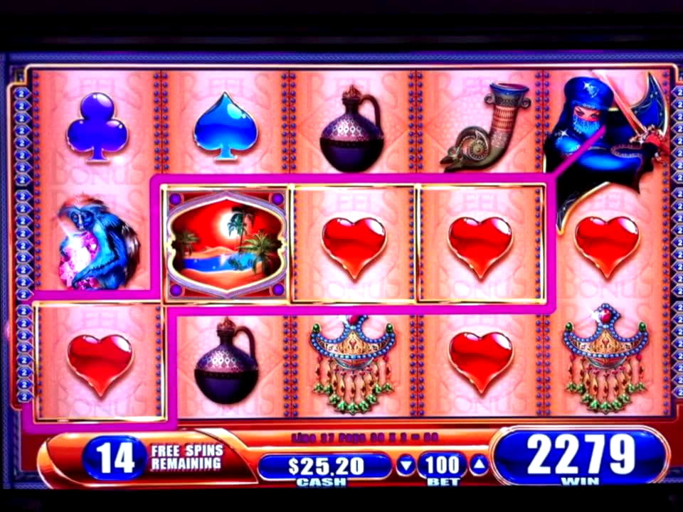 245 FREE Spins at Bet Hard Casino