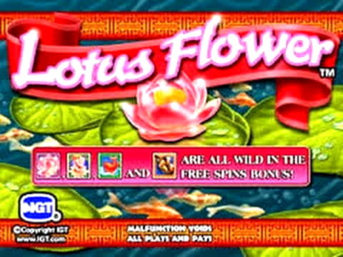 20 Free spins at Leo Vegas Casino