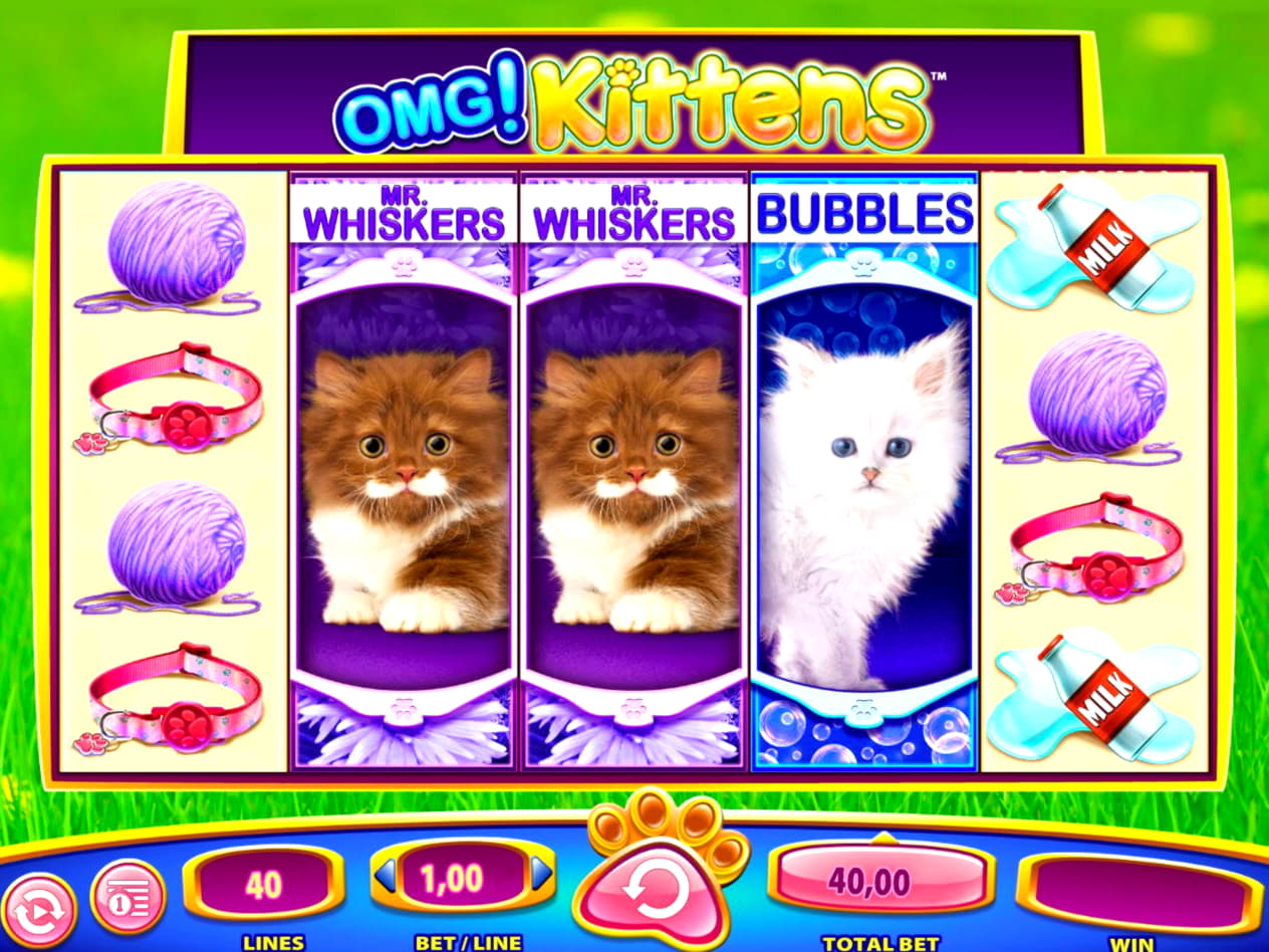855% Signup casino bonus at Leo Vegas Casino