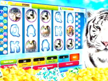EURO 4165 No Deposit Bonus Code at Slotty Dubai Casino