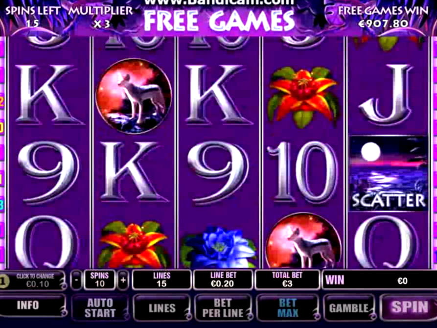 510% Match Bonus at Gratorama Casino