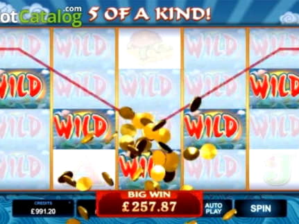 £555 Free casino chip at Bet Hard Casino