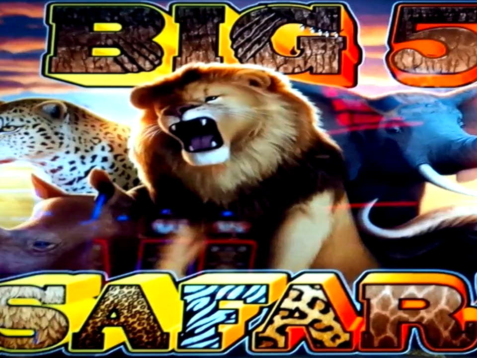 285 Loyal Free Spins! at Dunder Casino
