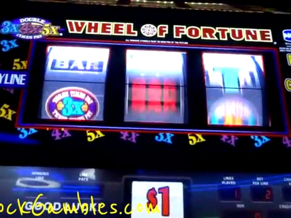 EUR 355 No deposit at Casino Cruise