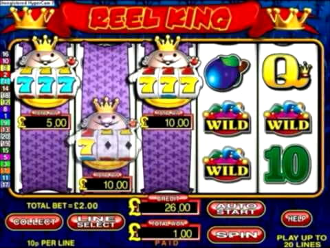 €365 Casino Tournament at Casino Cruise