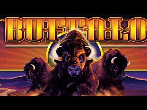 Amsterdam Casino Part 2(Buffalo Gold Compilation) July 18