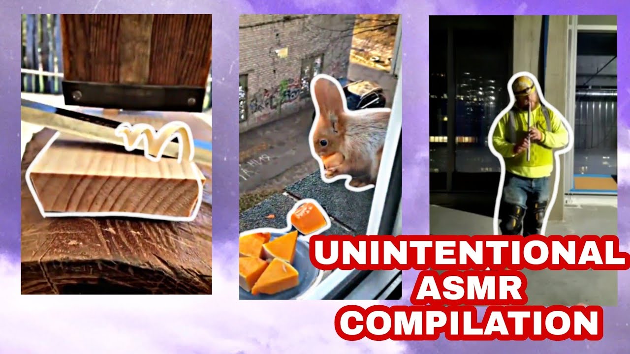 BEST UNINTENTIONAL ASMR COMPILATION #10