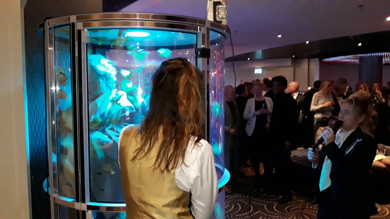 Geld grijpen bij Holland Casino