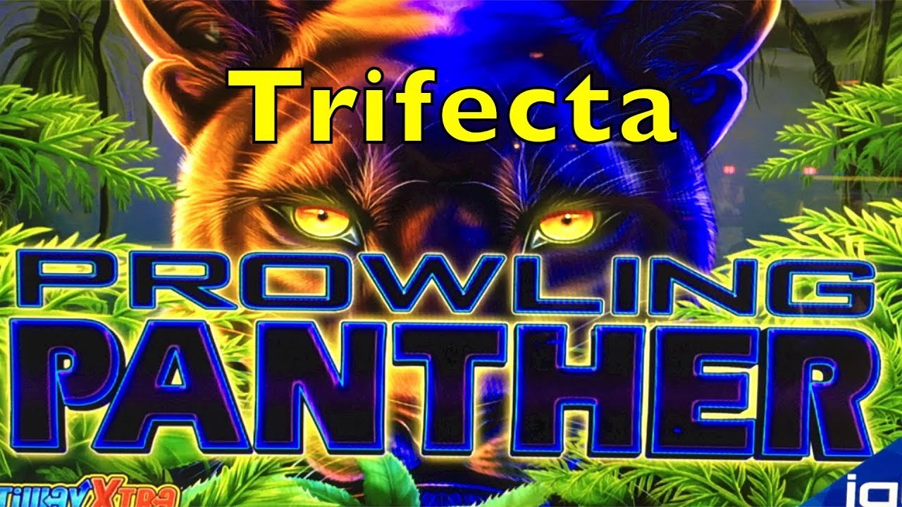 PROWLING PANTHER - Trifecta With Big Win - IGT Slot Machine Pokies - Enjoy !!! Casino Pokie Win