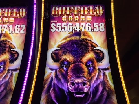 Buffalo Grand Slot Super Jackpot Handpay -Biggest Buffalo Win on YouTube -