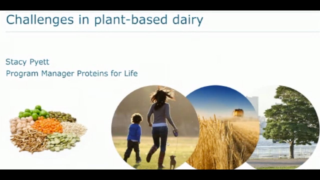 Challenges in Plant-Based Dairy: learnings from academia
