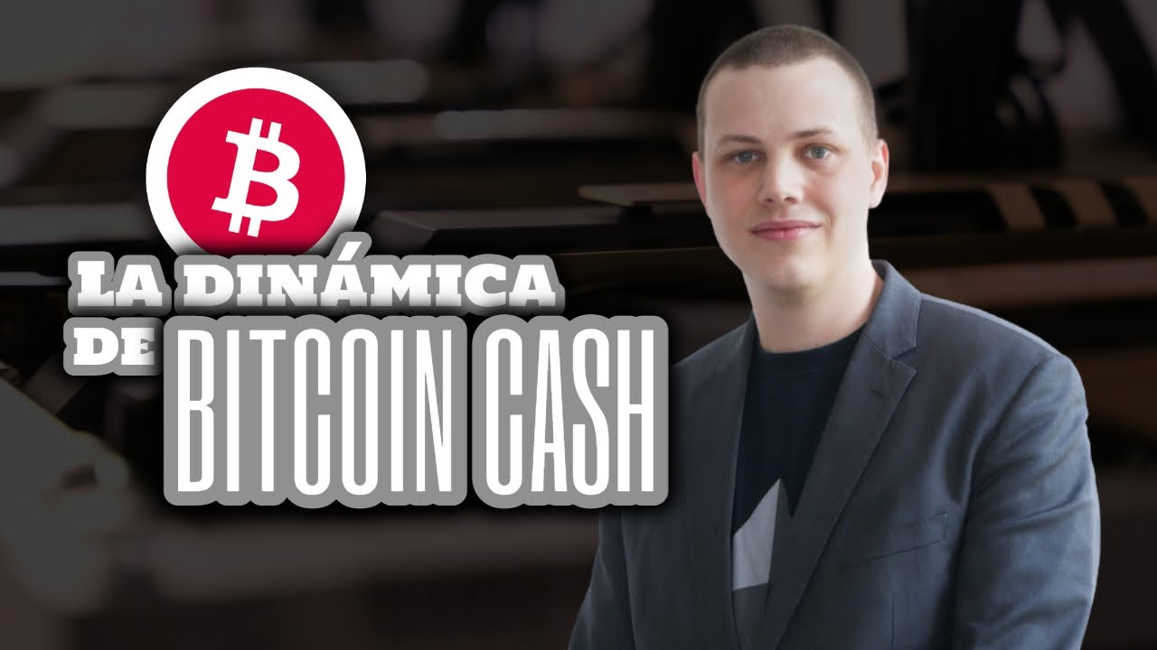 TEORÍA sobre la GOBERNANZA de BITCOIN (Aplicada a BCH) ? #SUBTITULADO  [2019]