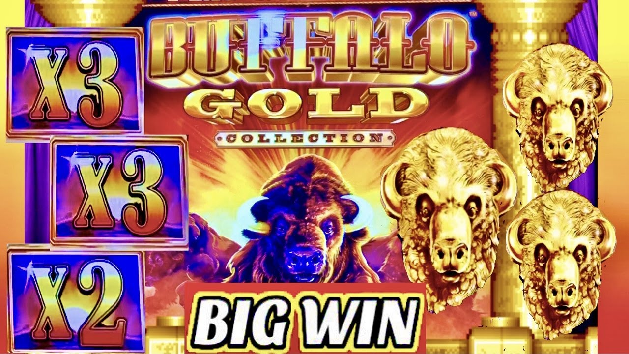 YES! COIN SHOW! LANDED BIG WINS BUFFALO GOLD SLOT MACHINE! CASINO GAMBLING!