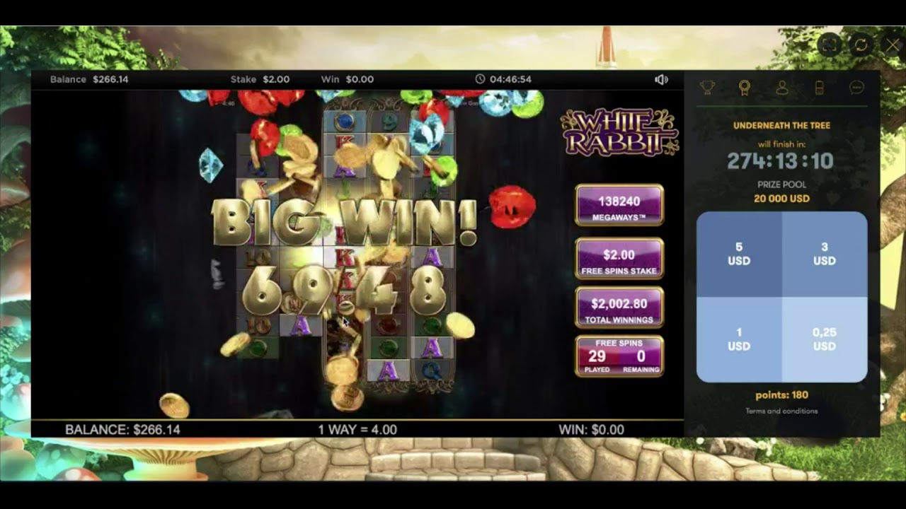White Rabbit Big Win Casino!!!!!