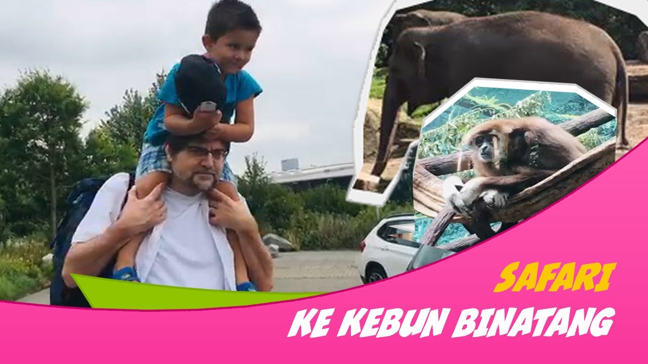 SAFARI KE KEBUN BINATANG BLIJDORP ROTTERDAM || AVIFAUNA ALPHEN AAN DEN RIJN #DIBELANDA #VLOG3