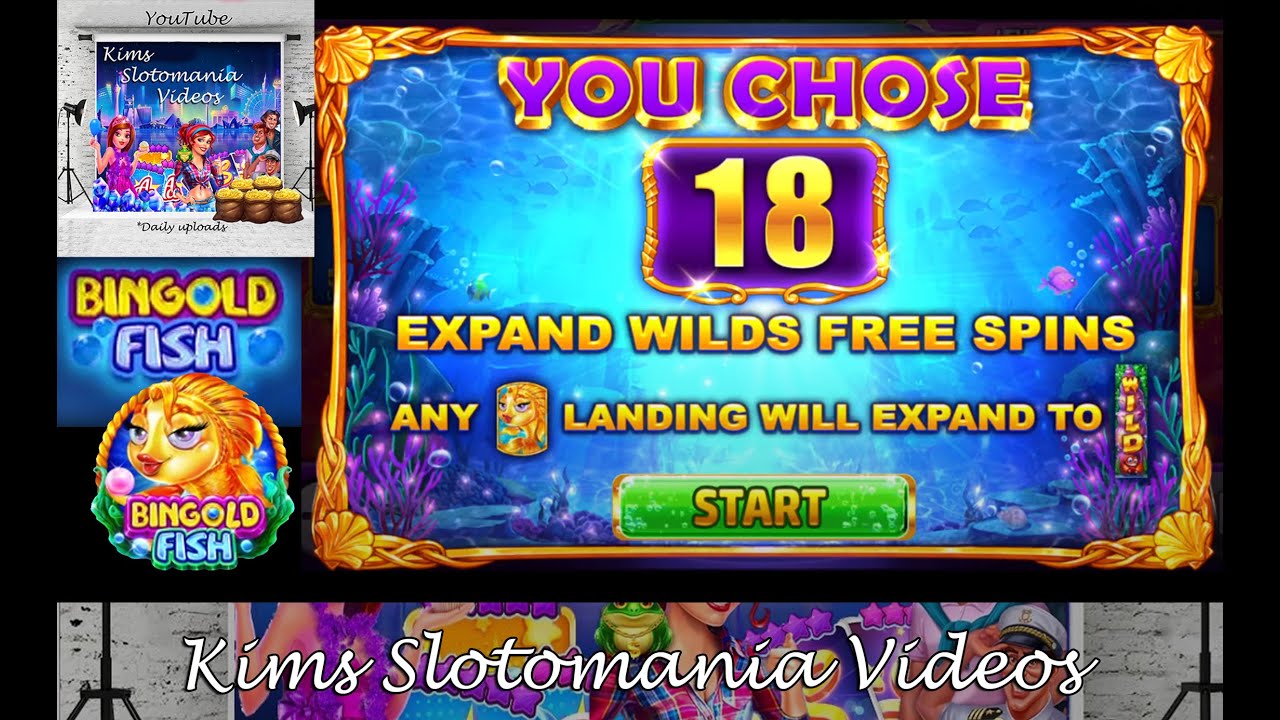 Bingold Fish 80b bet free spins #Slotomania