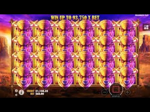 BIGGEST WINS OF THE WEEK! NW RECORD WIN ON BUFFALO KING SLOT! MAX WIN!