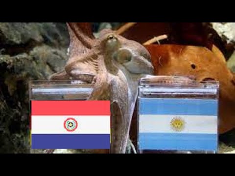 Copa america Argentina vs Paraguay football match astrological prediction hoy partido de futbol 2021
