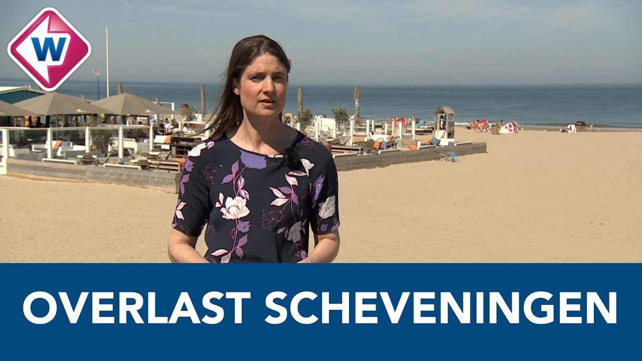 Ideeënbus Overlast Scheveningen stroomt vol - OMROEP WEST