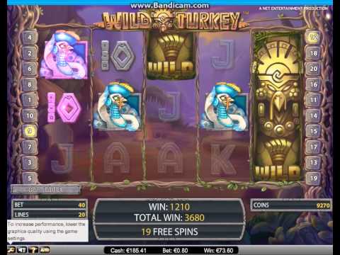 Wild Turkey free spins win casino