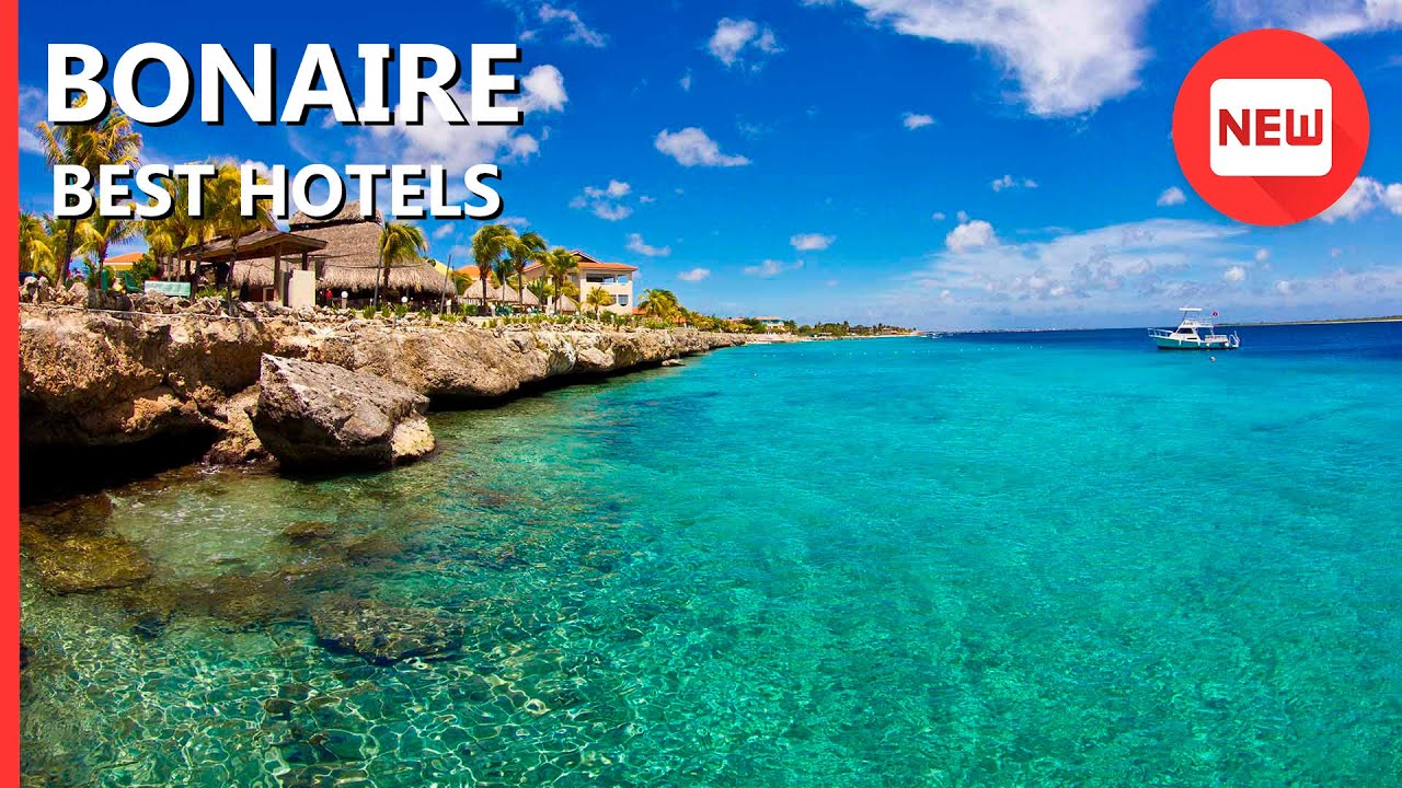 ✅ BONAIRE best resorts for 2021 travel: Top 10 hotels in Bonaire