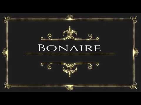 Bonaire - Southern Caribbean Island - Divi Flamingo Resort