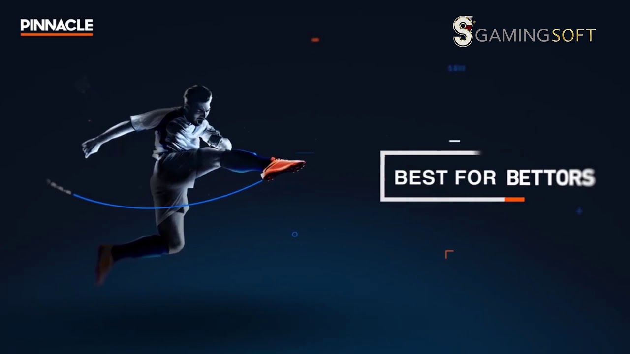 GamingSoft - Pinnacle