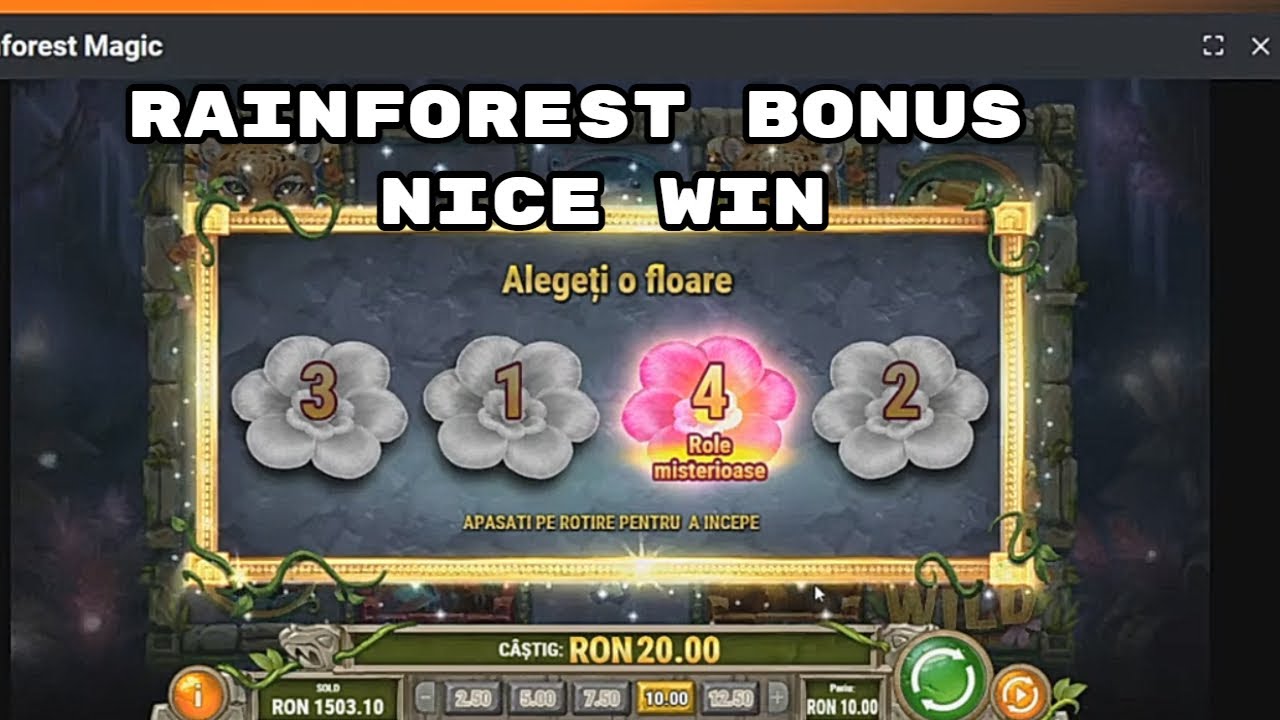 RAINFOREST BONUS NICE WIN