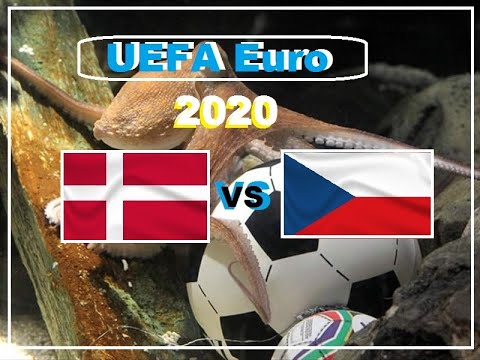 UEFA Czech Republic vs Denmark 2020 Euro cup match Live prediction i dag fodboldkamp Tjekkiet