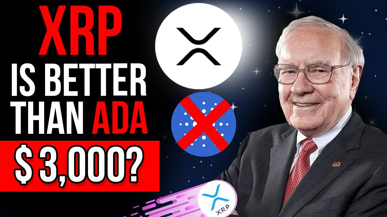 Warren Buffett Says XRP Better Than Cardano? Xrp Price Prediction 2021