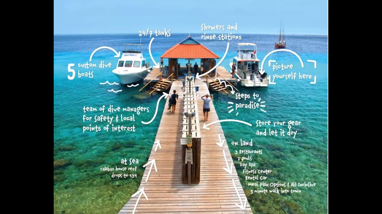 We Can Still Dream - Divi Flamingo Resort and Casino, Bonaire Webinar
