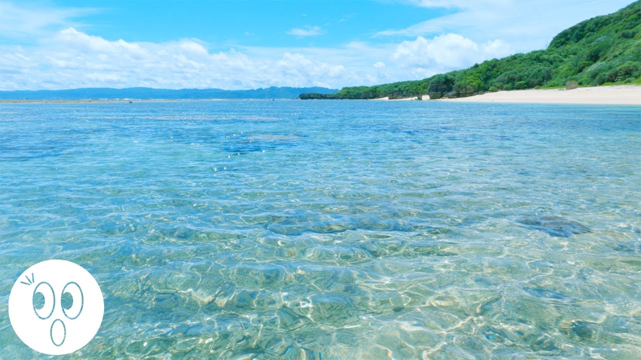 okinawa japan , Sea in Kouri Island , 4K walking tour