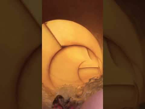 Water Slide at the Golden Nugget Las Vegas, So Fun ?