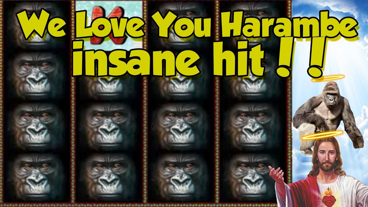 Online Slot - Gorilla Big Win and bonus round (Casino Slots) Huge win
