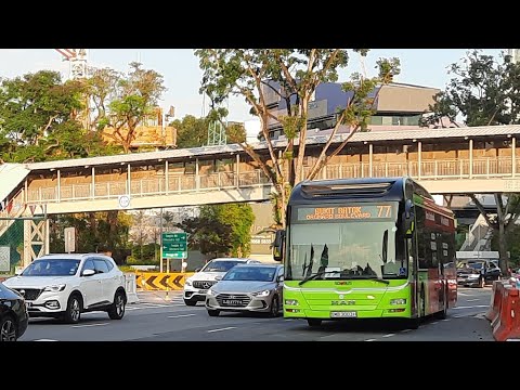 Bus 77 Ride Going To Holland Village