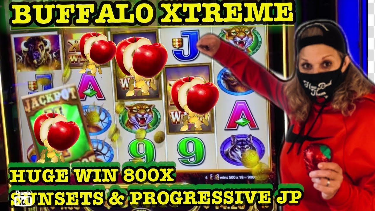 ??HUGE WIN ON BUFFALO XTREME BIG MULTIPLIERS??#buffalovideo#casino#bigwin