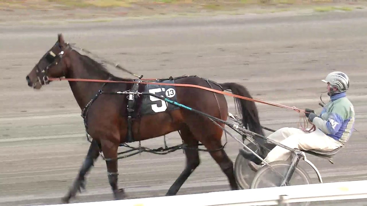 Red Shores Racetrack & Casino Live Stream