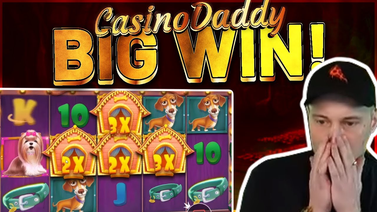 BIG WIN!!! Dog House BIG WIN - Casino Slots from Casinodaddys live stream