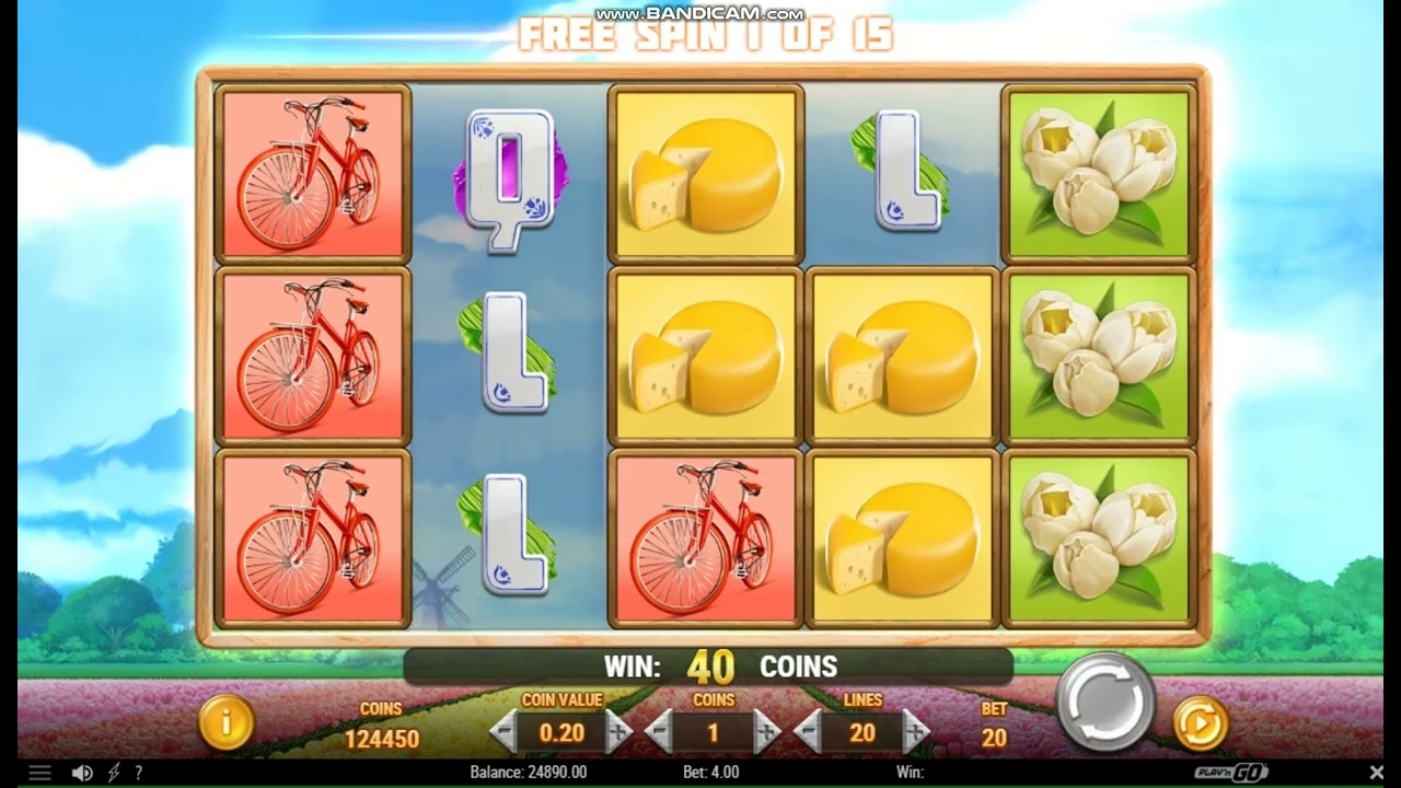 Dutch Flip - Play'n GO - Gameplay & Bonus Review