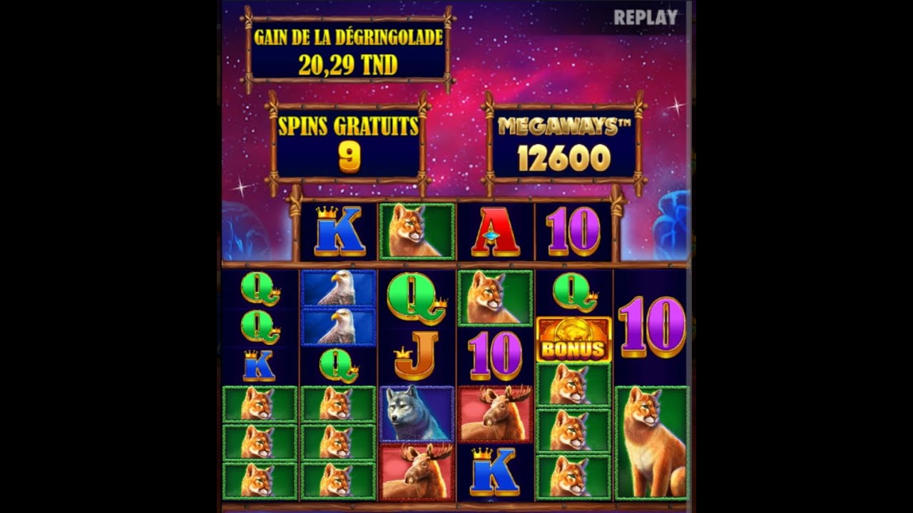BUFFALO KING TUNISIABET CASINO BIG WIN إجبد عليه