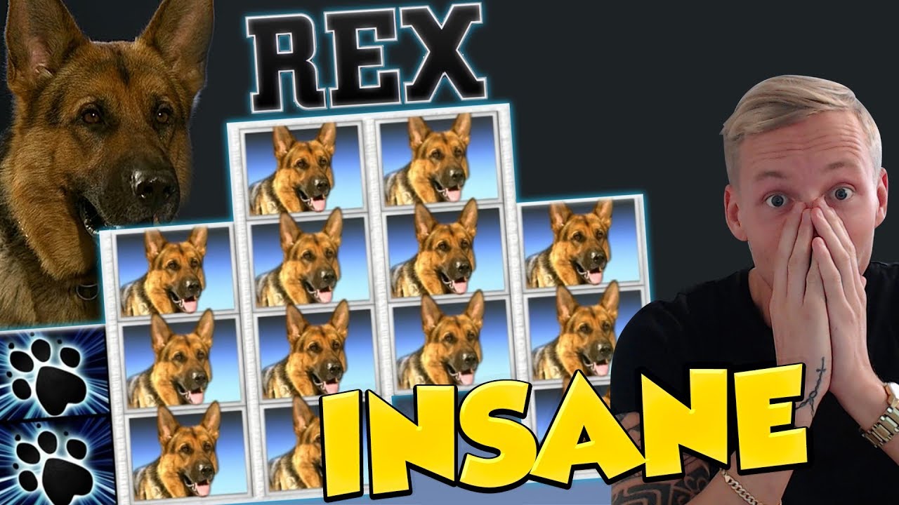 Rex BIG WIN from LIVE STREAM - Casino Games - Gambling (Online slots)