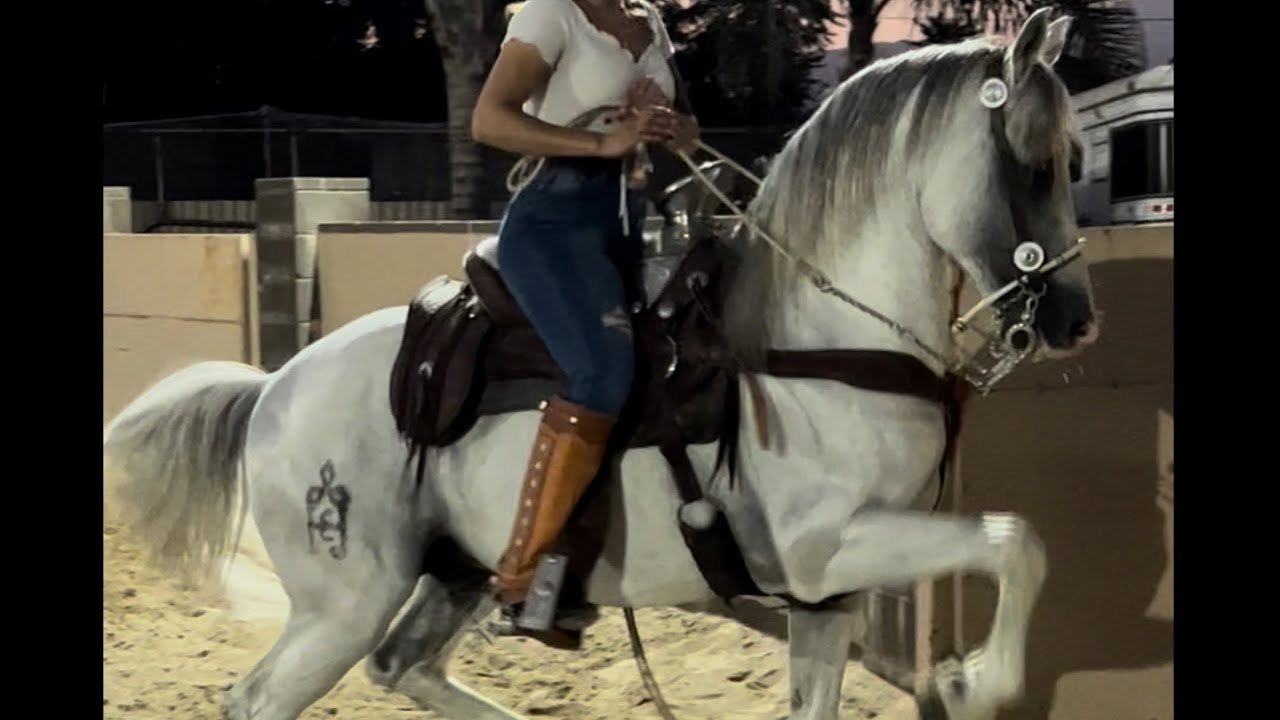 Rancho La Forja desde washington anoche en California pre competencia en Pico Rivera