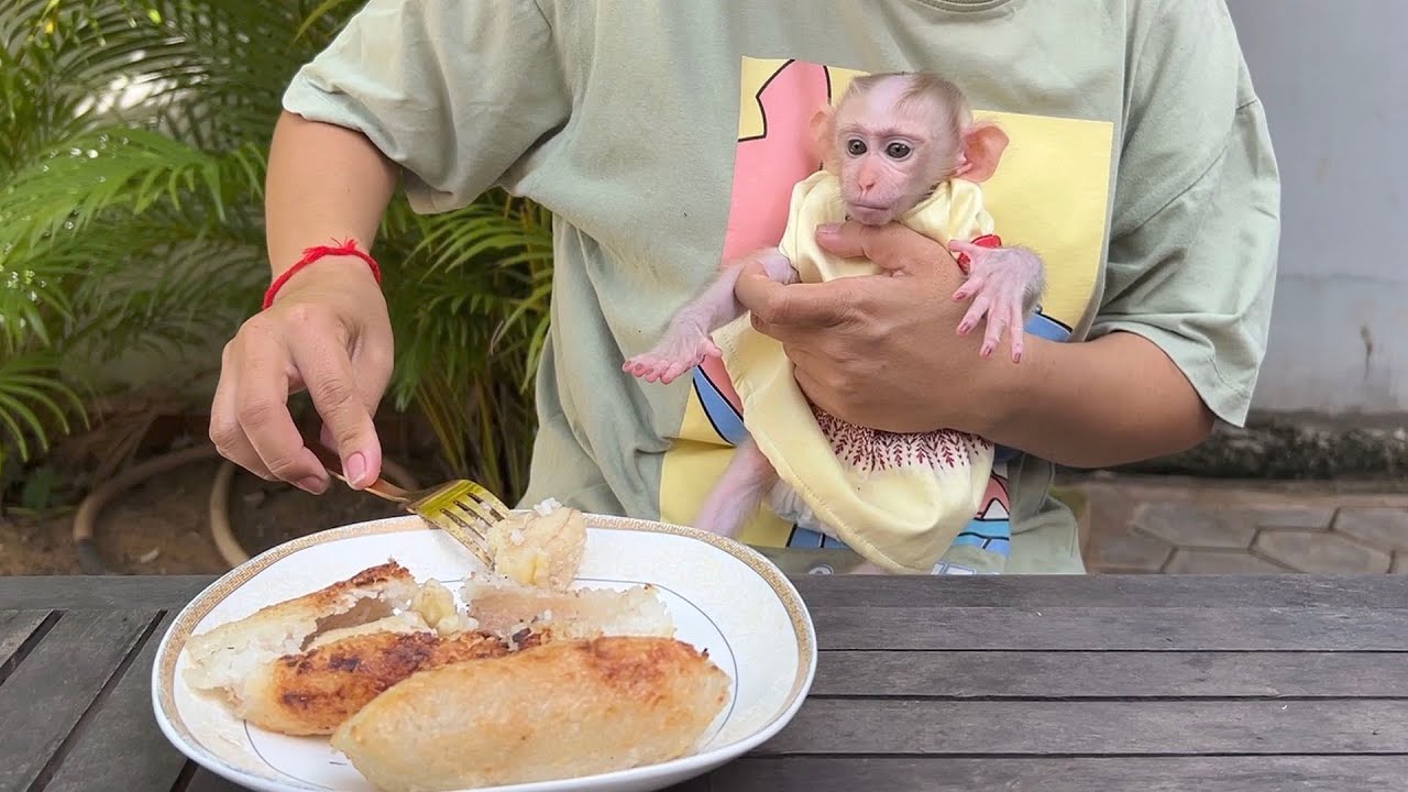 Lil Curious Joyee Frcefully Request Mom To Eat Grill Banana