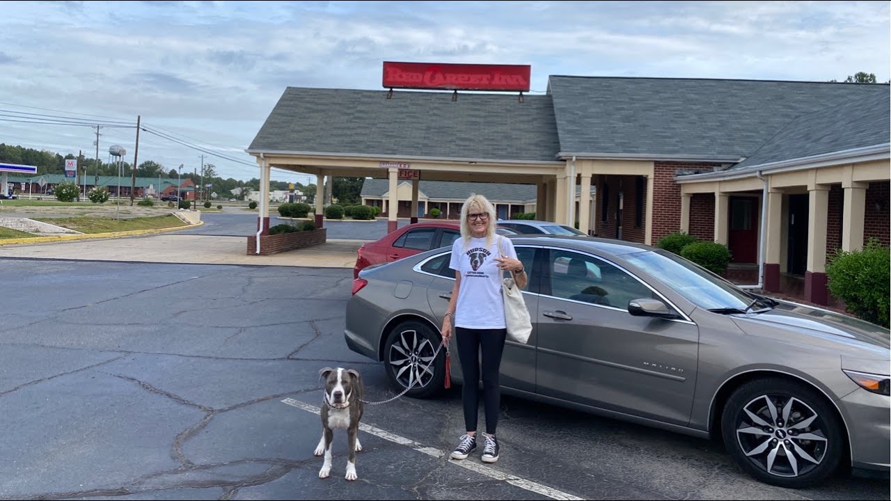 LIVE Driving From Ft Lauderdale to NYC Road Trip w/ our Dog Hudson Part 7 September 10, 2022