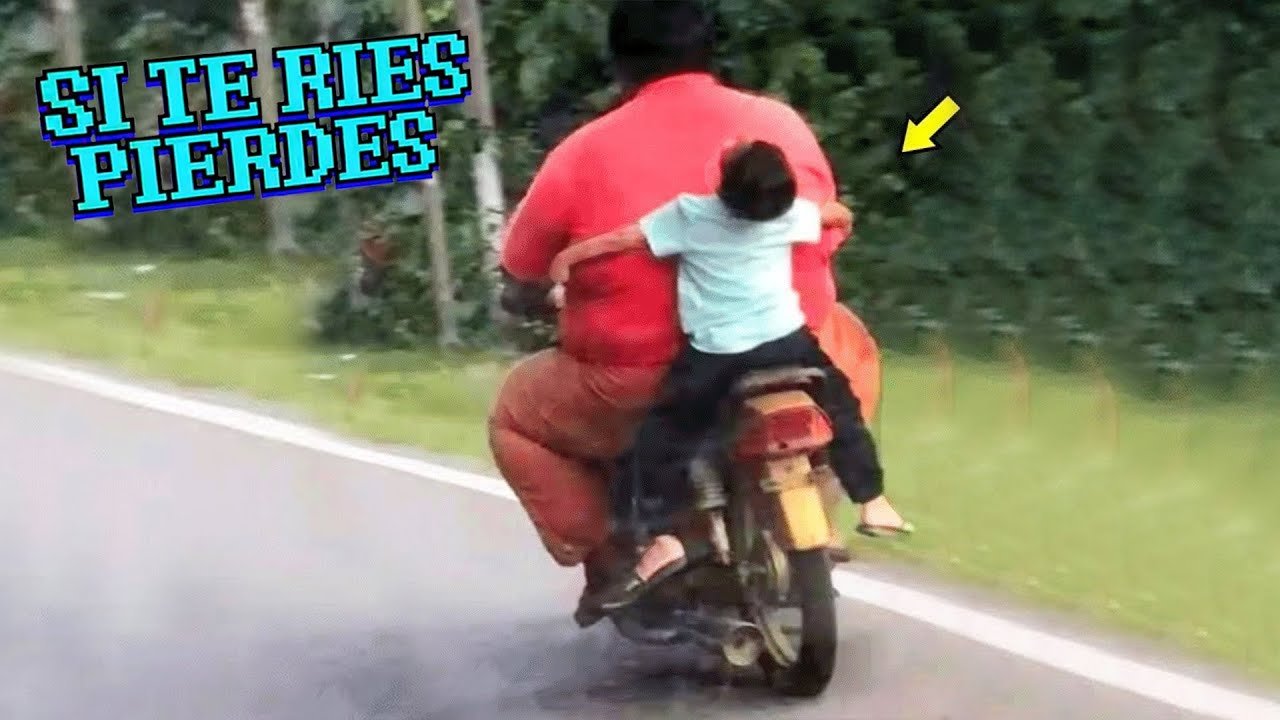 SI TE RÍES PIERDES NIVEL DIOS ? 999.99% IMPOSIBLE NO REÍRSE ? Vídeos De Risa Muy Graciosos 2022